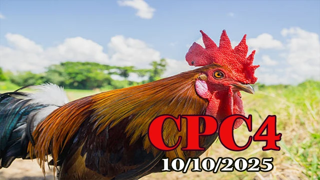 Clip đá gà C4 hôm nay ngày 10/10/2025